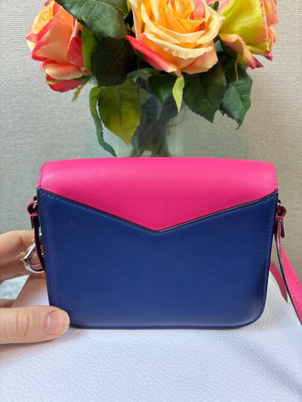 Dior Pink & Blue Leather Diorissimo Promenade Crossbody - Beautiful Pre-Loved - Picture 4 of 16